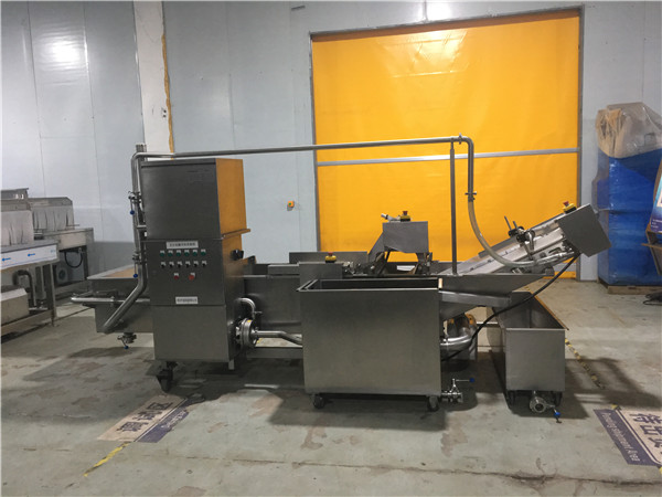 氣泡式蔬菜清洗機，有效清洗，過濾泥沙