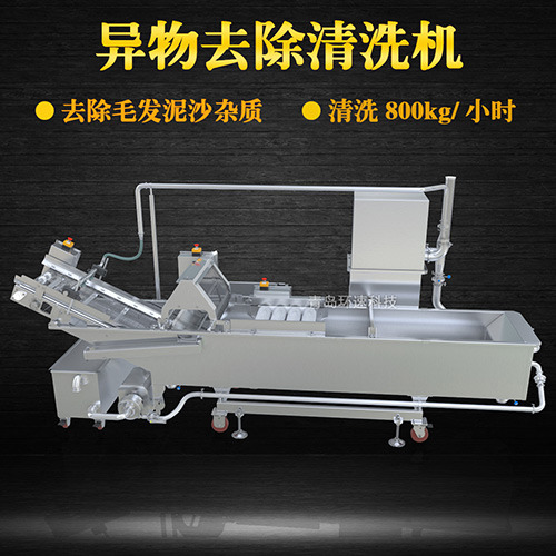 商用專業(yè)果蔬清洗機(jī)，氣泡清洗，清洗800kg小時(shí)