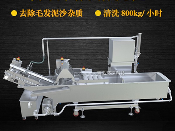 蔬菜清洗機(jī)，氣泡清洗，清洗800kg/小時(shí)