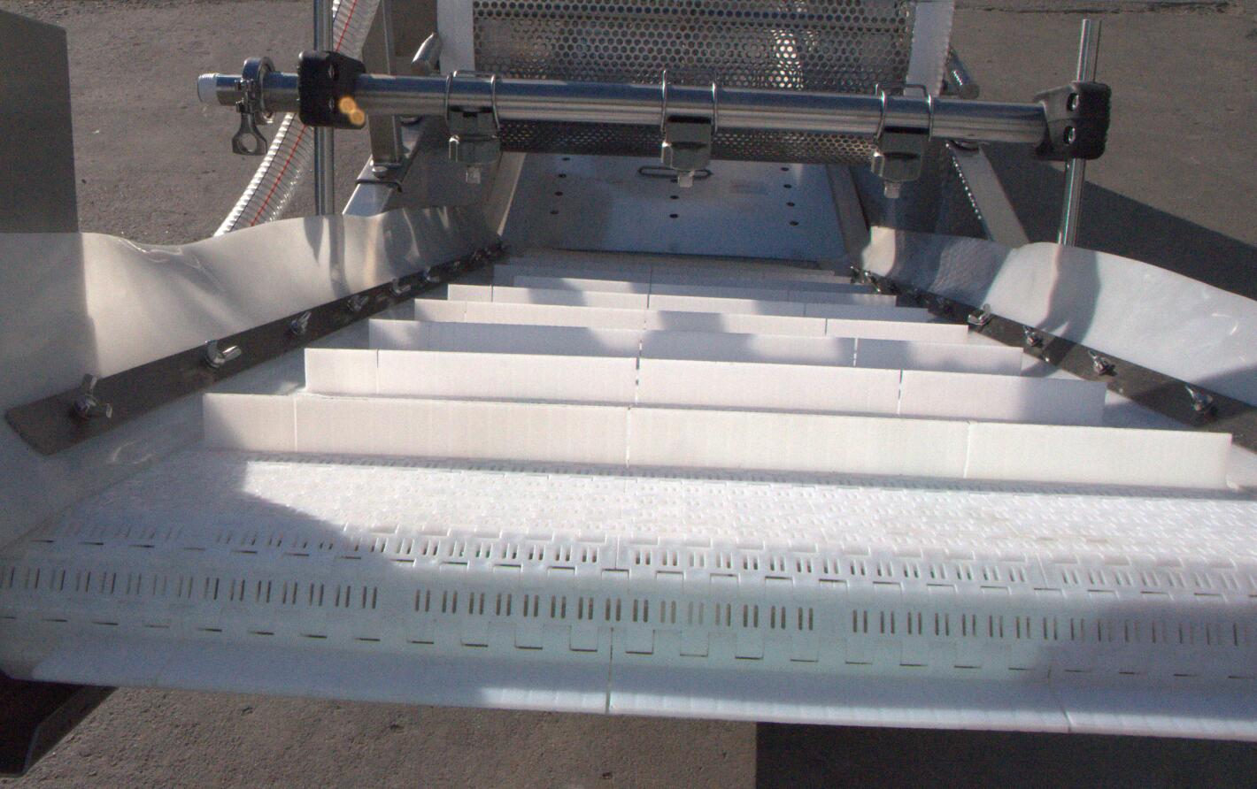 鴨腸的變身過程，讓你大跌眼驚